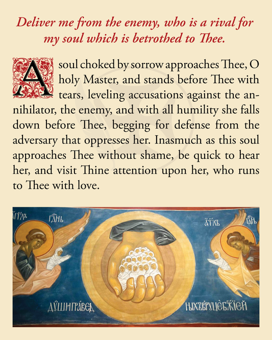 Deliver me from the enemy, who is a rival for my soul which is betrothed to Thee.